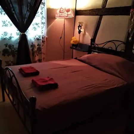 Petit Paradis דירה *